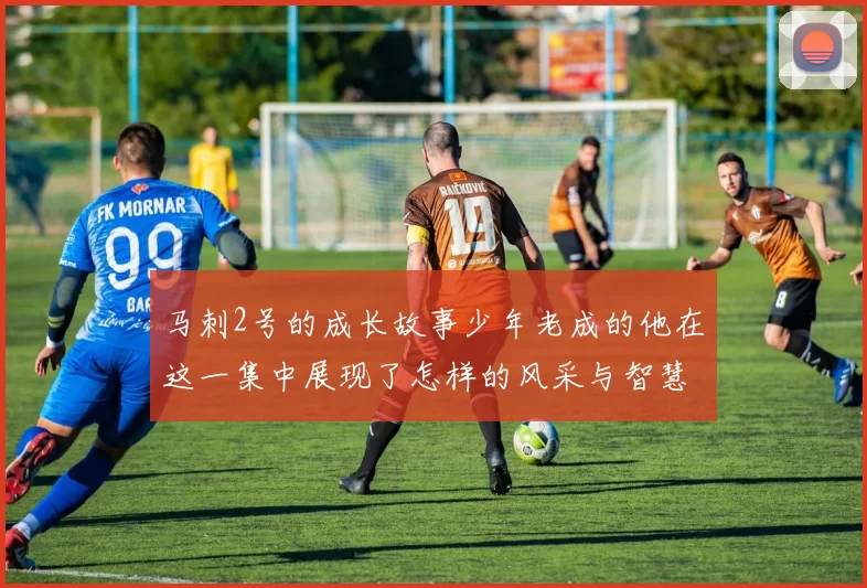 马刺2号的成长故事少年老成的他在这一集中展现了怎样的风采与智慧