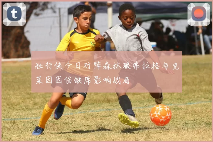 独行侠今日对阵森林狼弗拉格与克莱因因伤缺席影响战局